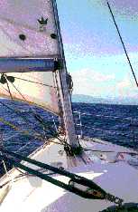 Corsica/Foto M. D&auml;uwel